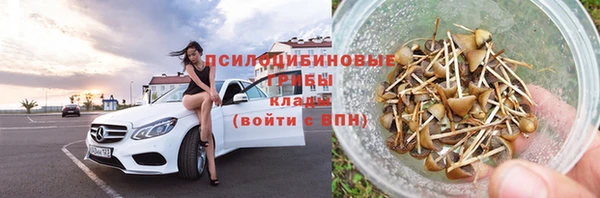 шишки Богородск