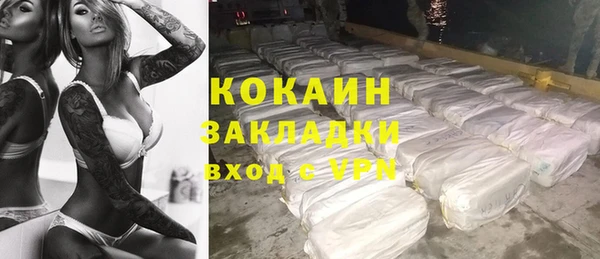 шишки Богородск