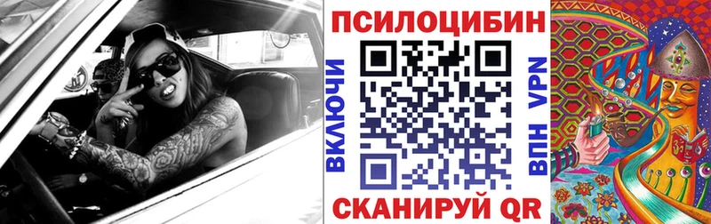 это клад  продажа наркотиков  Высоцк  Галлюциногенные грибы Cubensis 